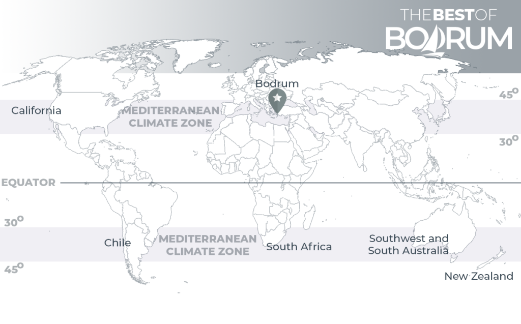 A Closer Look At The Mediterranean Climate The Best Of Bodrum   Mediterranean Zone 1024x637 