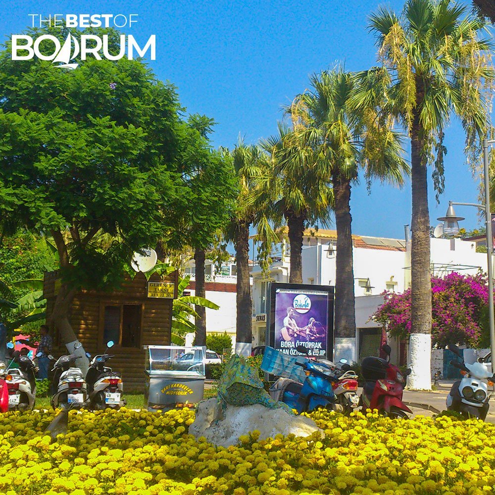 Yellow flowers and green trees in Bodrum town centre in August.