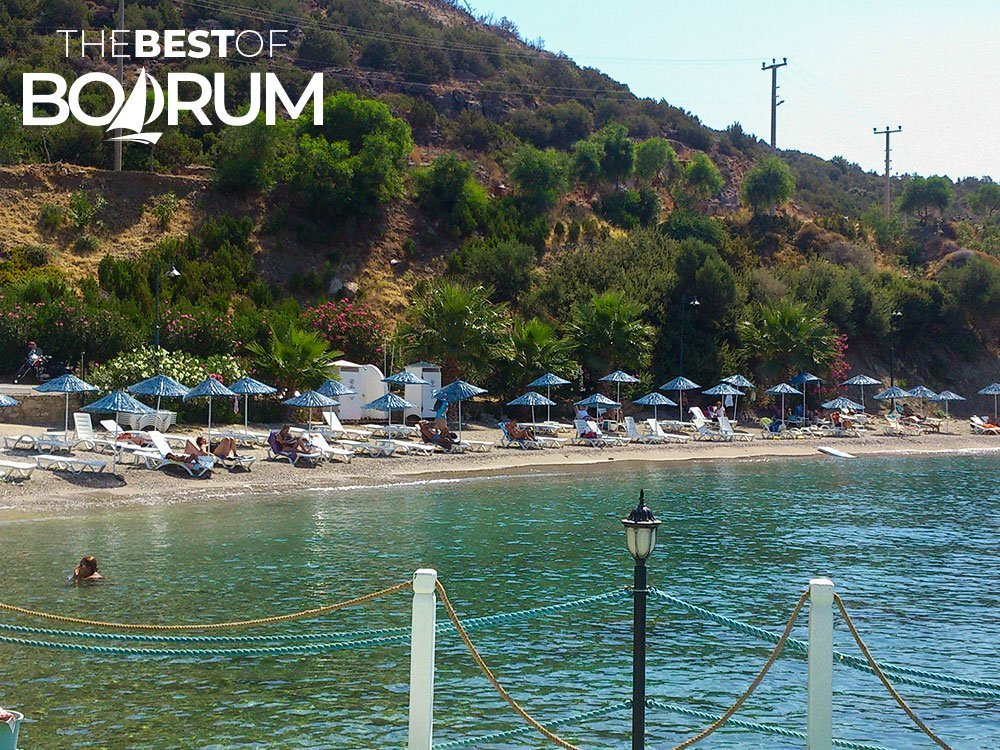 Yelken Beach with sunbeds and trees, one of the municipality-run beaches in Bodrum.