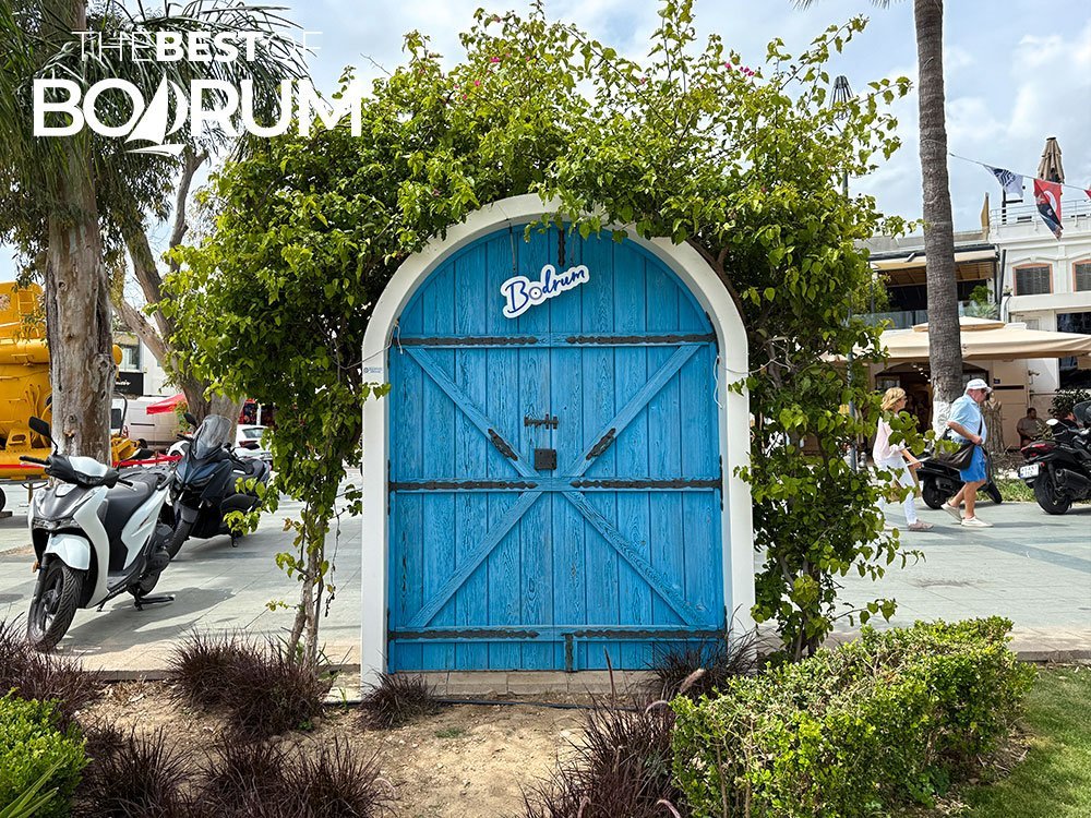 Blue wooden door artwork in Bodrum symbolising the region’s cultural identity and artistic heritage.