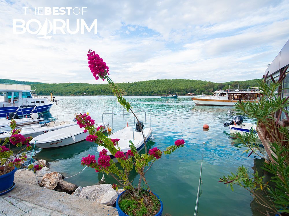 A calm view of the boats and green hills along the Güvercinlik coast.